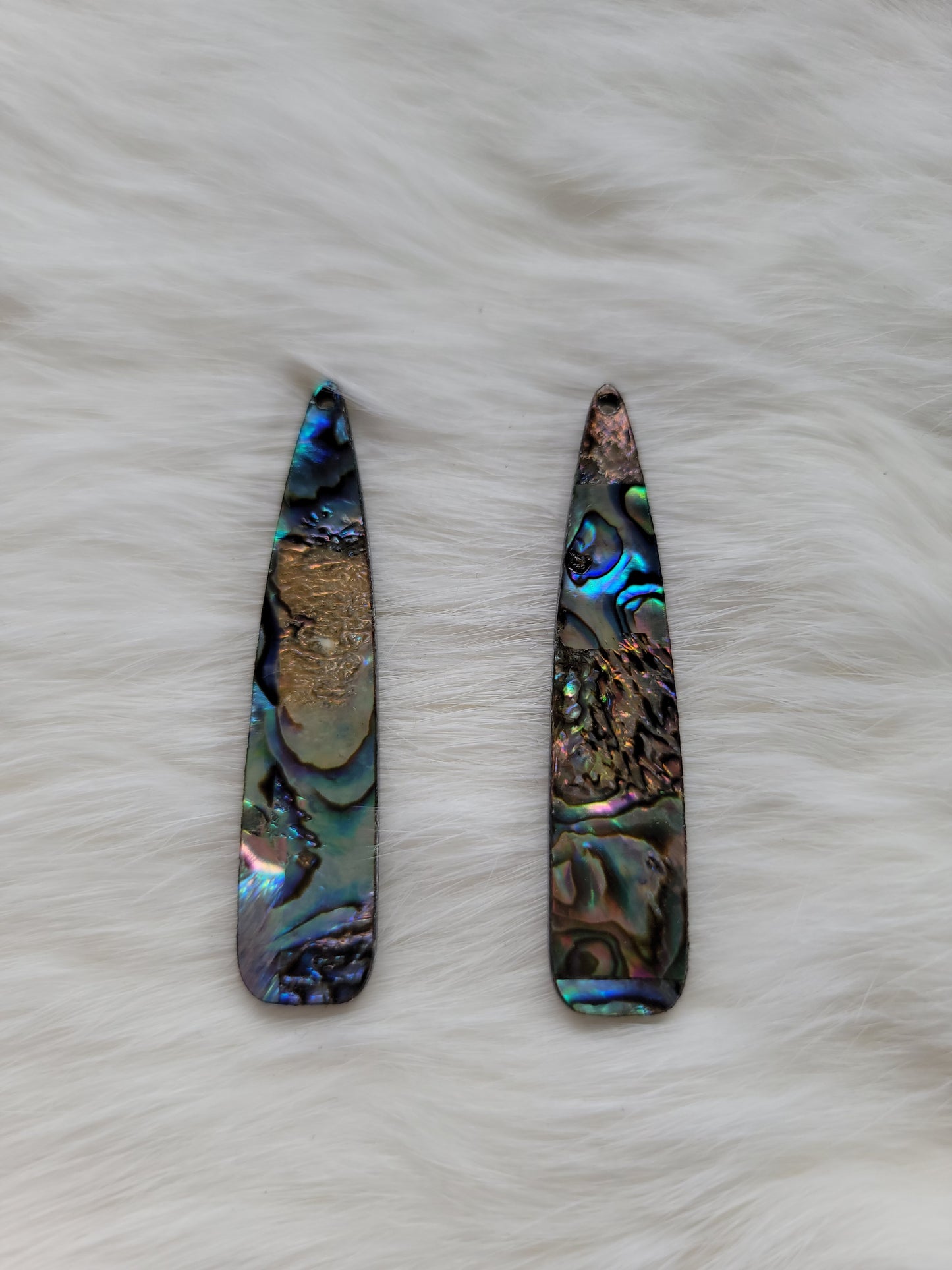 Long Abalone