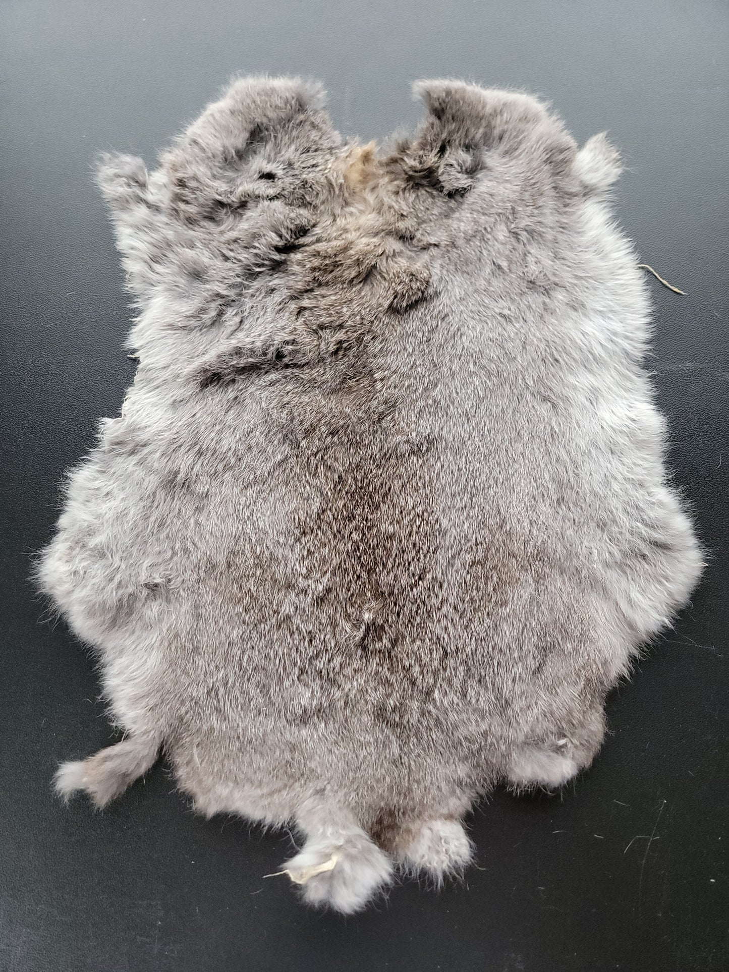 Rabbit Fur Grey
