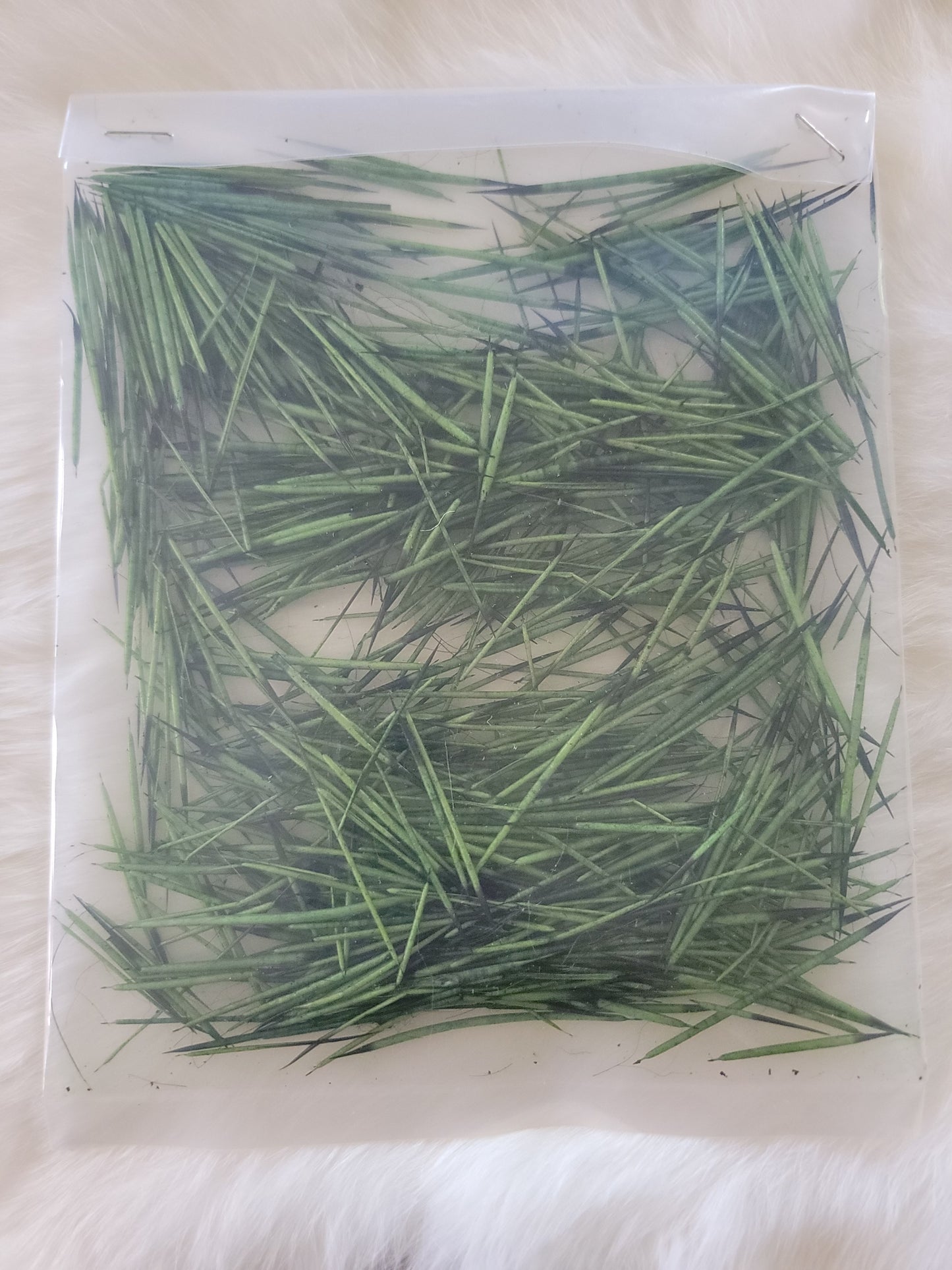 Porcupine Quills - Green