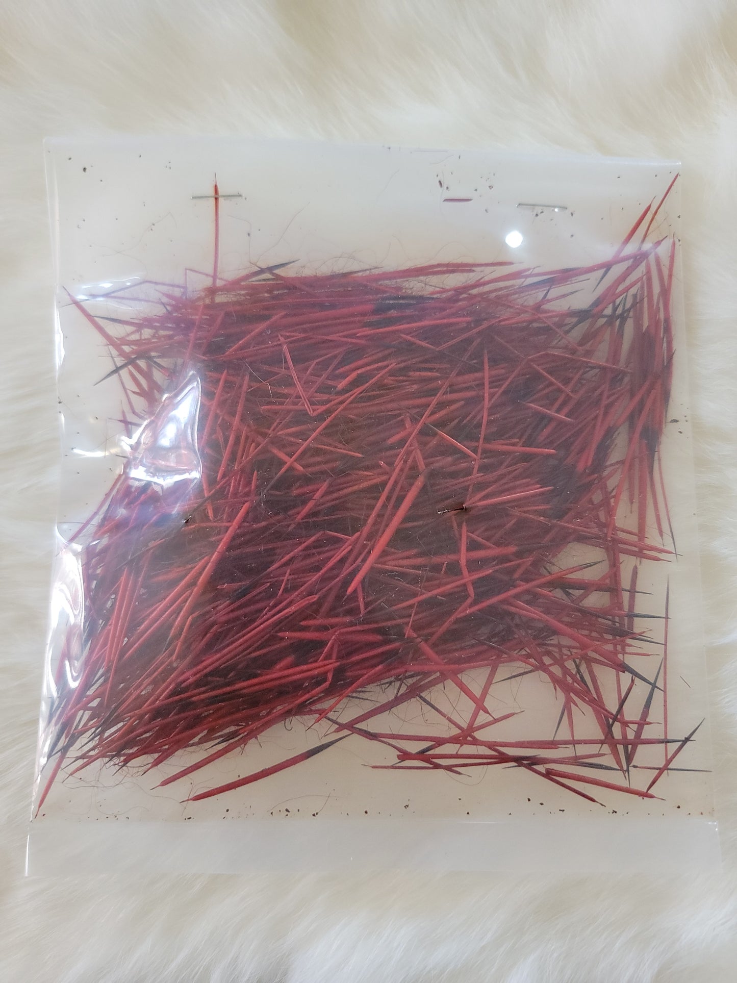 Porcupine Quills - Red