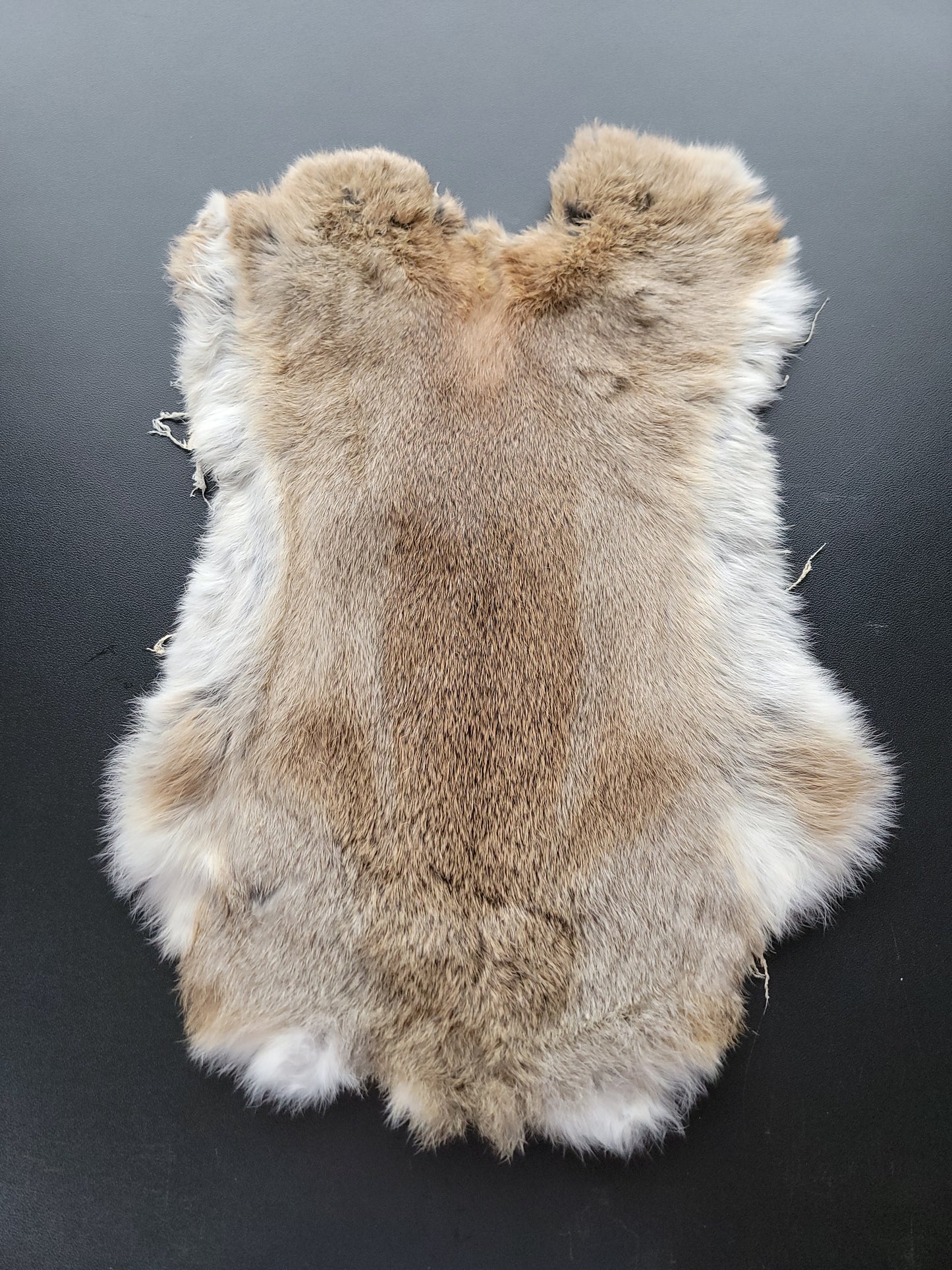 Rabbit Fur Light Brown