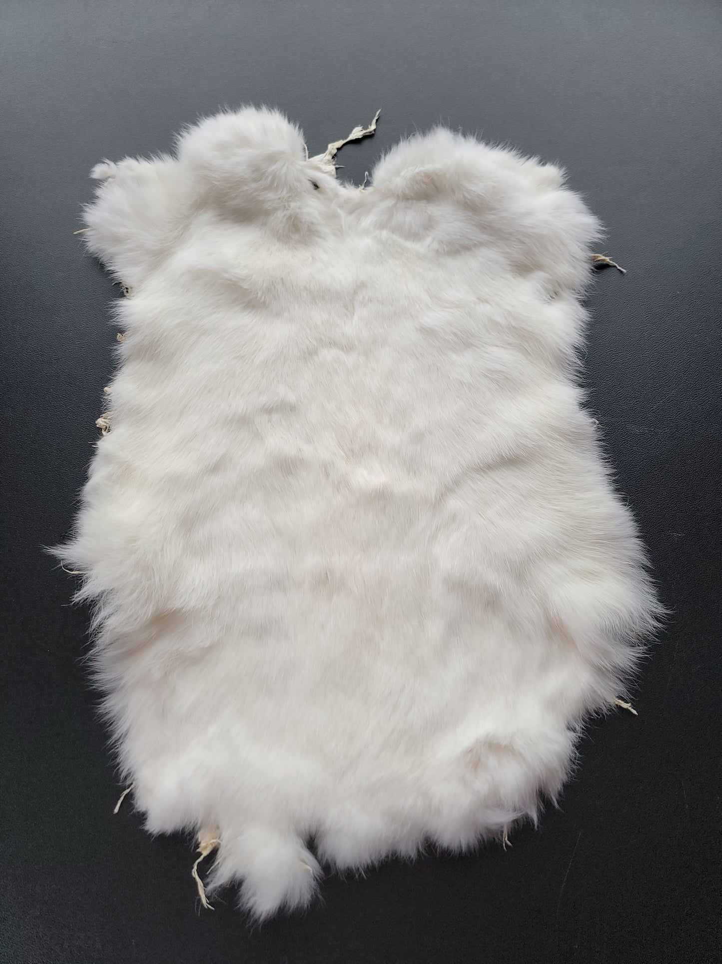 Rabbit Fur White