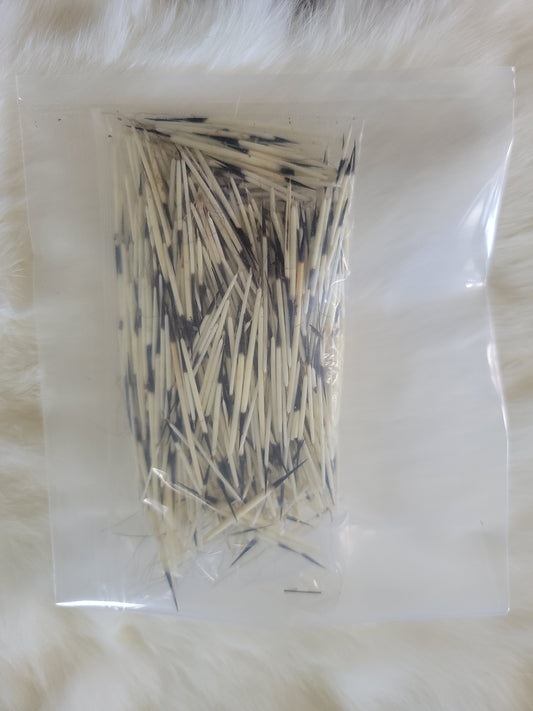 Porcupine Quills - Natural