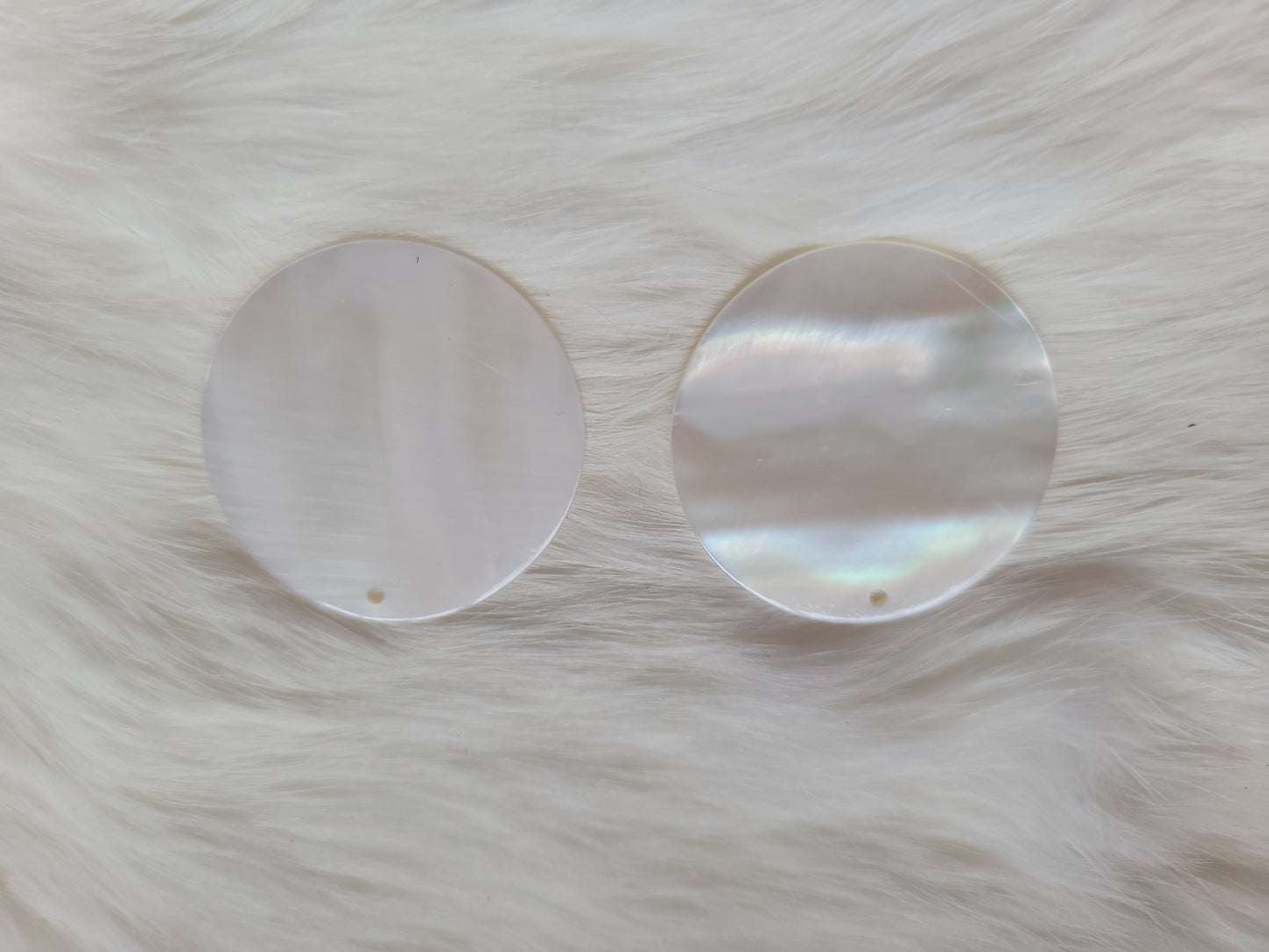 Large Circle Shells